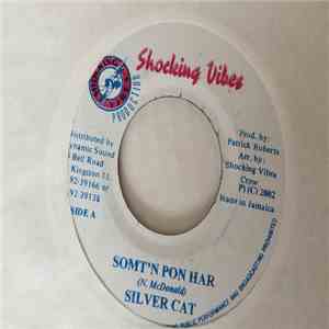 Silver Cat  - Som'tn Pon Har album