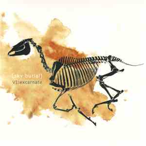 Sky Burial - VI: Excarnate album
