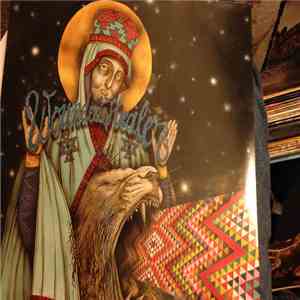 The Followers - Wounded Healer album