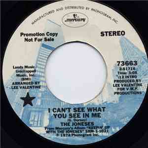 The Joneses - I Can't See What You See In Me / Our Love Song album