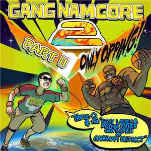 Triple-Q & The Sexy Ladies & Mother Father Gentlemen Of Gangnam District - Gangnamcore 2, Part II: Only Opping! album