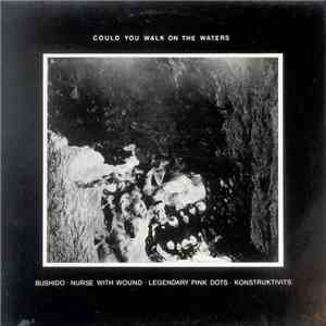 Various Artists - Could You Walk On The Waters album