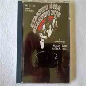 Various - Original Cast Recording Starting Here Starting Now album