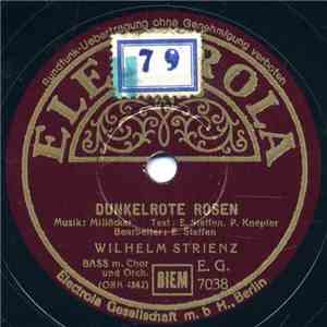 Wilhelm Strienz - Dunkelrote Rosen / Mädel, Ich Bin Dir So Gut album