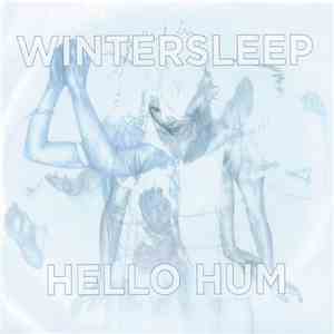 Wintersleep - Hello Hum album