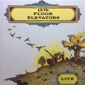 13th Floor Elevators - Live album