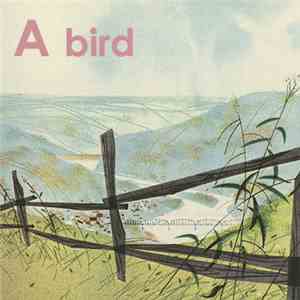 A. Bird - The Day You Held My Hand album