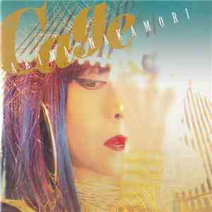Akina Nakamori - Cage album