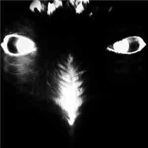 Alejandro Mosso - Ulanbator / Altiplano album