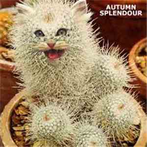 Autumn Splendour - Autumn Splendour 10" album
