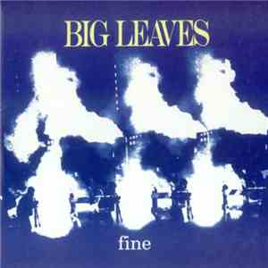 Big Leaves - Fine album