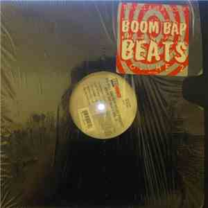 Big Will & Heathcliff - Boom Bap Beats Volume 2 album
