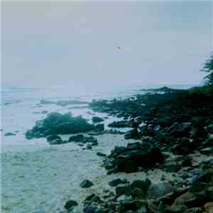 Celer - Advert Subversion album