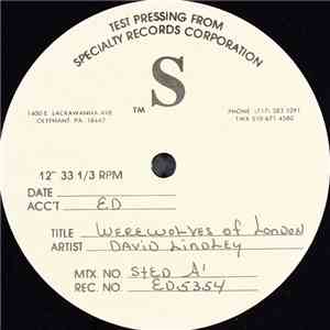 David Lindley & El Rayo-X - Werewolves Of London (LP Version) album