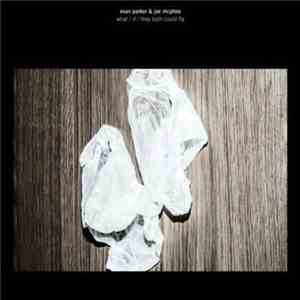 Evan Parker & Joe McPhee - What / If / They Both Could Fly album