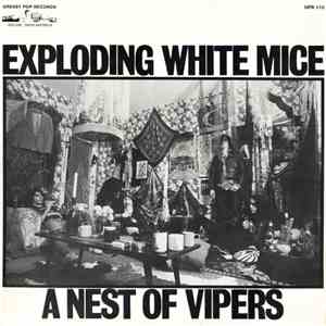 Exploding White Mice - A Nest Of Vipers album