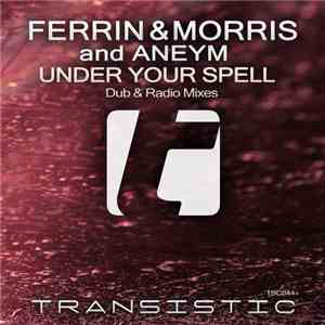 Ferrin&Morris And Aneym - Under Your Spell album