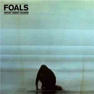 Foals - What Went Down album