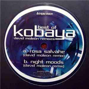 Kobaya - Best Of Kobaya - David Moleon Remixes album