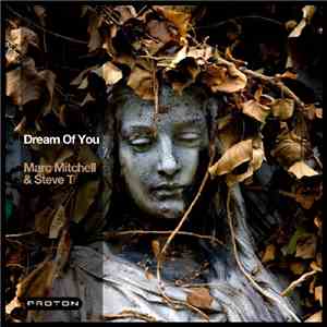Marc Mitchell & Steve T  - Dream Of You album