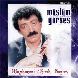 Müslüm Gürses - Meyhaneci / Kırık Sazım album