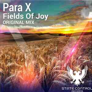 Para X - Fields Of Joy album