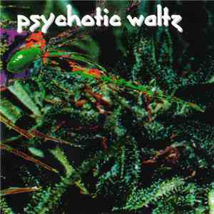 Psychotic Waltz - Mosquito album