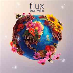 Sean Ashe - Flux album