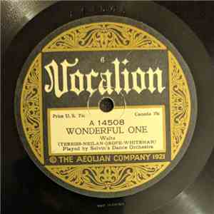 Selvin's Dance Orchestra - Wonderful One / Mellow Moon album