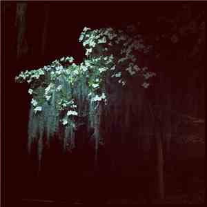 Sharks' Teeth - More Time album