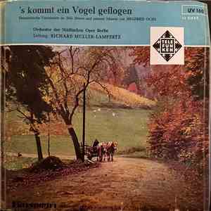 Siegfried Ochs, Orchester Der Städtischen Oper Berlin, Richard Müller-Lapmertz - 's Kommt Ein Vogel Geflogen album