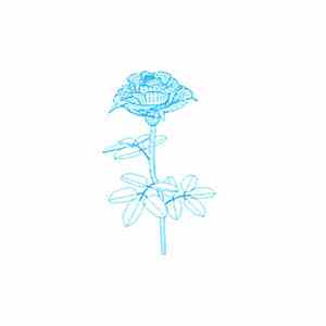 Speculator  - Nice album