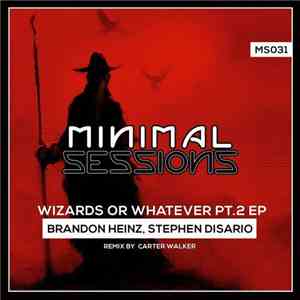 Stephen Disario, Brandon Heinz - Wizards or Whatever Pt. 2 album