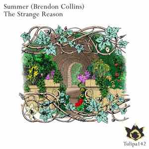 Summer , Brendon Collins - The Strange Reason album
