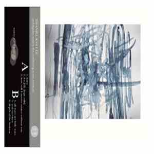 Thaniel Ion Lee - Ambiguity Makes The Confusing Seem Normal album