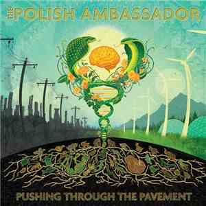 The Polish Ambassador - Pushing Through The Pavement album