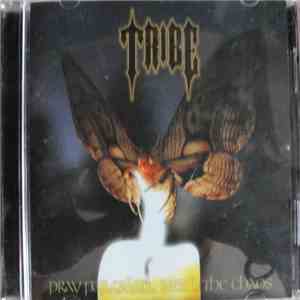 Tribe  - Pray For Calm... Need The Chaos album
