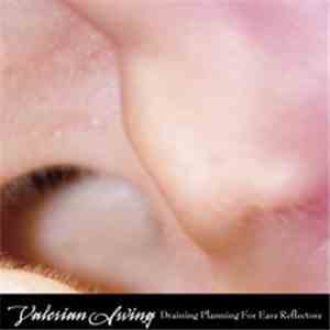 Valerian Swing - Draining Planning For Ears Reflectors album