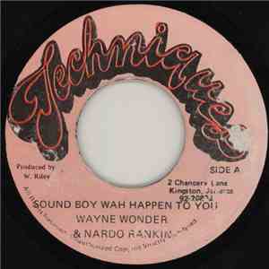 Wayne Wonder & Nardo Rankin - Sound Boy Wah Happen To You album