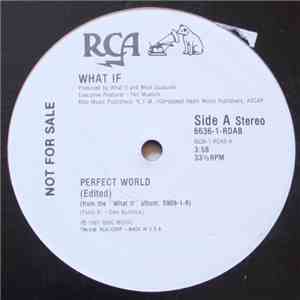 What If  - Perfect World album