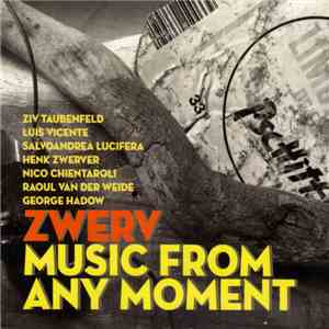 Ziv Taubenfeld, Luis Vicente, Salvoandrea Lucifera, Henk Zwerver, Nico Chientaroli, Raoul van der Weide, George Hadow : Zwerv - Music From Any Moment album