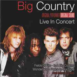 Big Country - Live In Concert album
