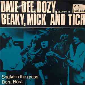 Dave Dee Dozy Beaky Mick & Tich - Snake In The Grass album