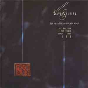 David Sylvian - In Praise Of Shamans album