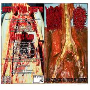 Defective Limb Digestor / Gastric Fluid - 2-Way Sclerosing Diafragma Inflammation album