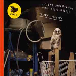 Erlend Apneseth Trio With Frode Haltli - Salika, Molika album