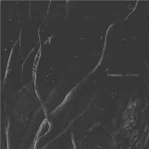 FVNERALS - Wounds album