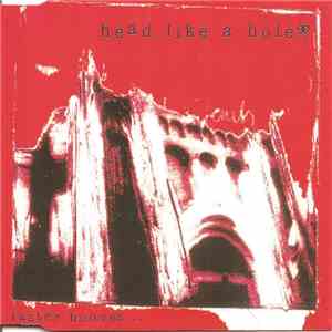 Head Like A Hole - Faster Hooves album