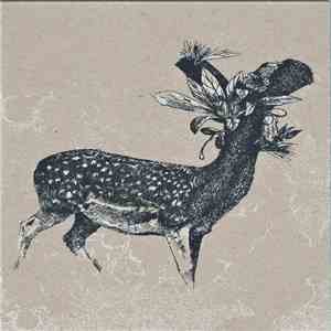 Hiroki Sasajima - Circle Wind album