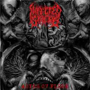 Infected Sphere - Abyss Ov Flesh album